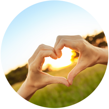 Affiliate programms